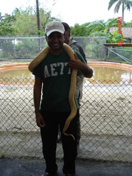 Snake & I