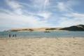 Swimming in Hokianga Harbour