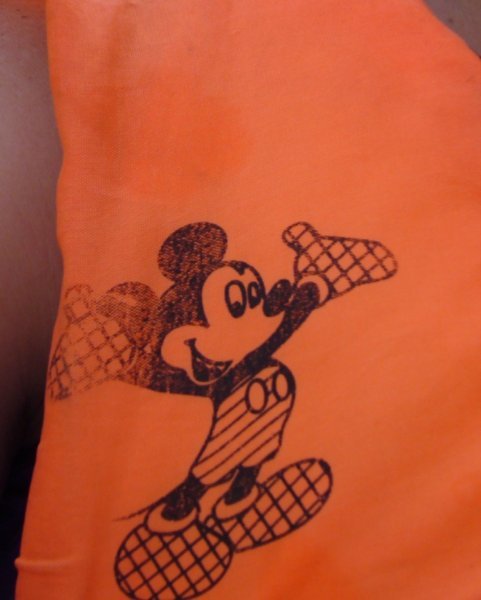 My Disney sponsored lifejacket
