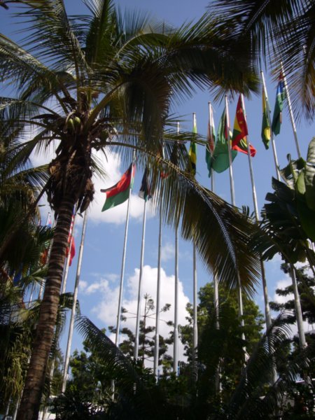 Flags outside the hotel