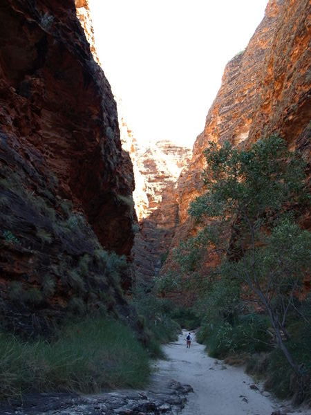 Walk to Cathedral Gorge