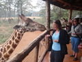betsy at giraffe sanctuary