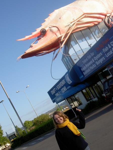 The big prawn!