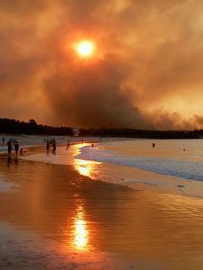 Sunset through a forest fire, Noosa
