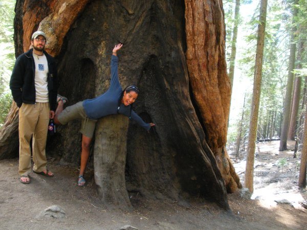 Candid photo of Sequoia