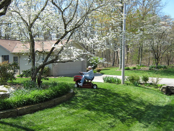 Dick mowing lawn