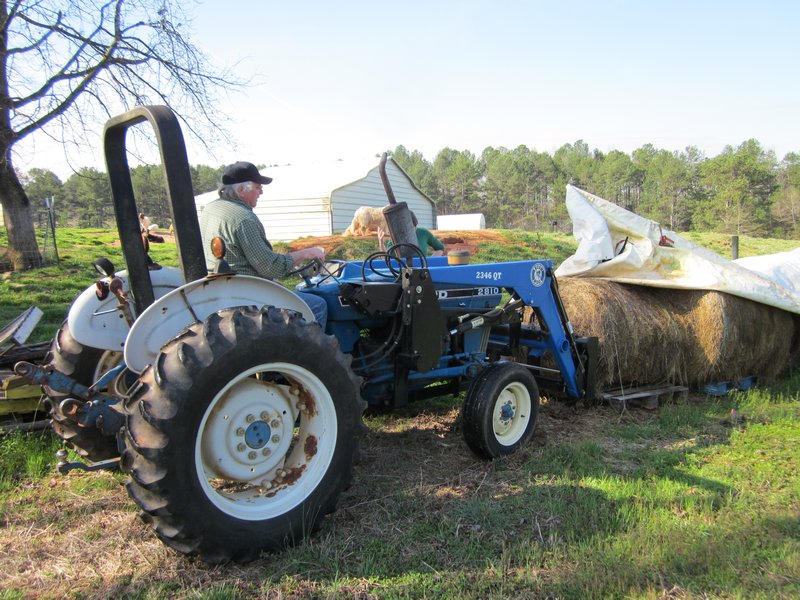 Dale getting hay for the goats