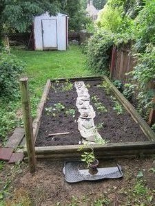 Garden finished!