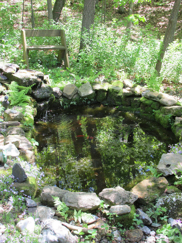 Small fish pond