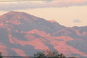 Evening in Tucson