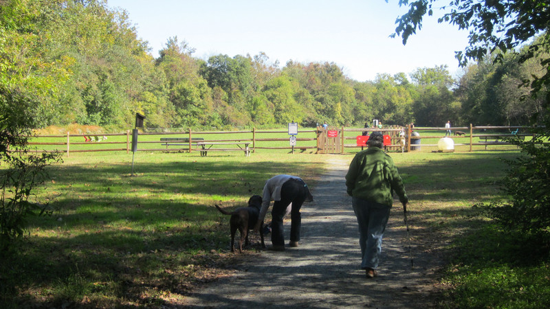 Dog Park in Fredericksburg