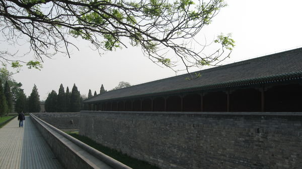 Temple of Heaven- grounds