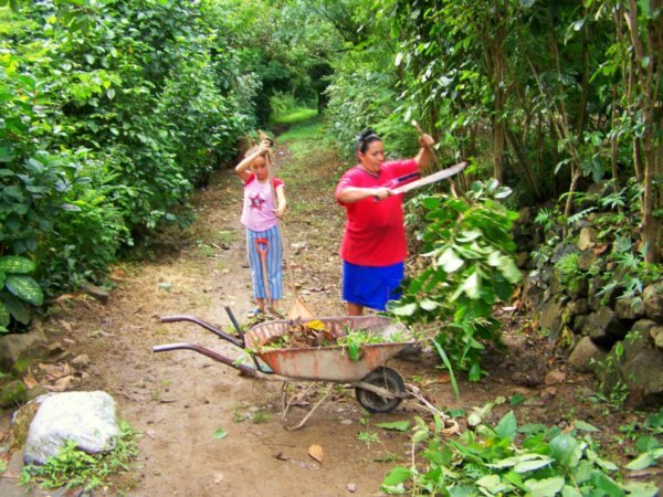 my neice and mom cleaning up the trees with machetes
