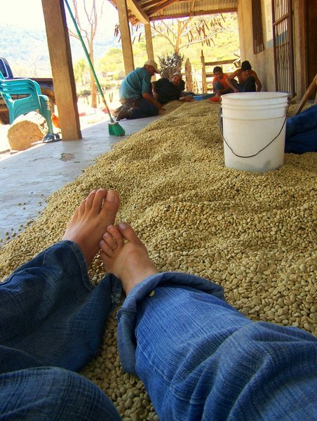 feet amid coffee beans