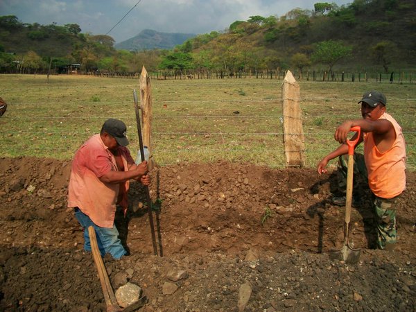 each person has to dig three meters long and one meter deep, for a total of 5 sq meters per person