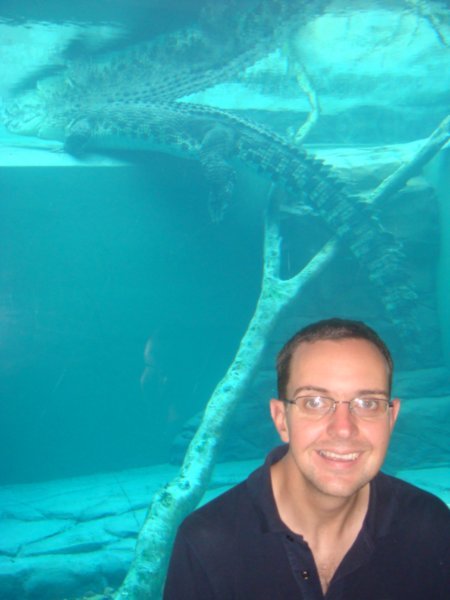 A big croc in Darwin!