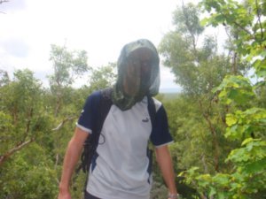 Bush walking with the reaper