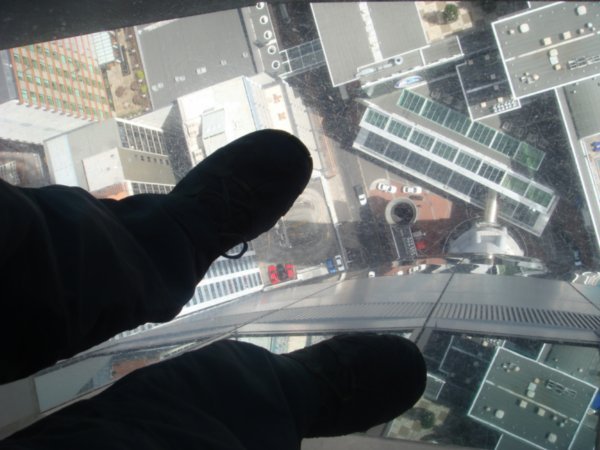 View from Auckland Tower through the glass floor