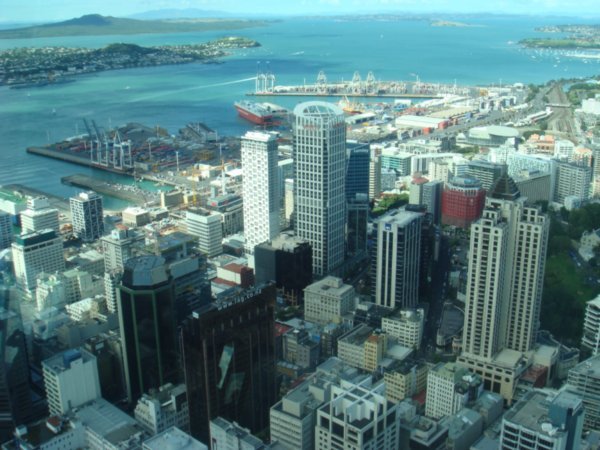 View from Auckland Tower