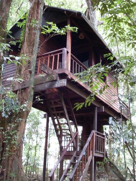 The treehouse!