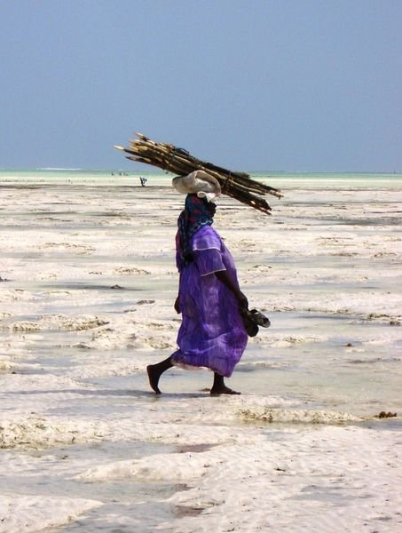 Zanzibar - Tanzania