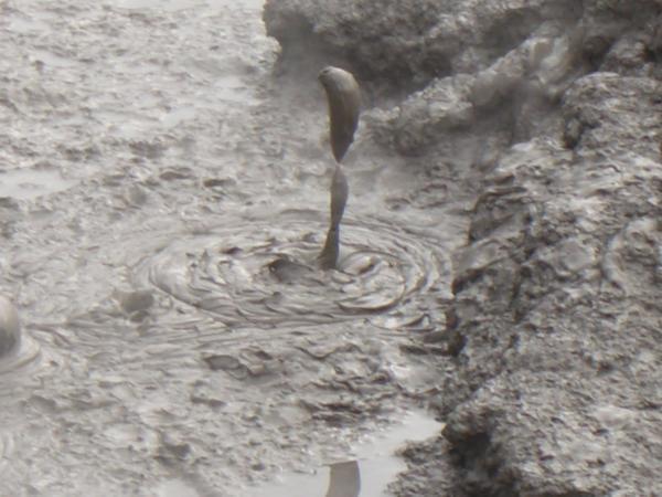 Mud pools