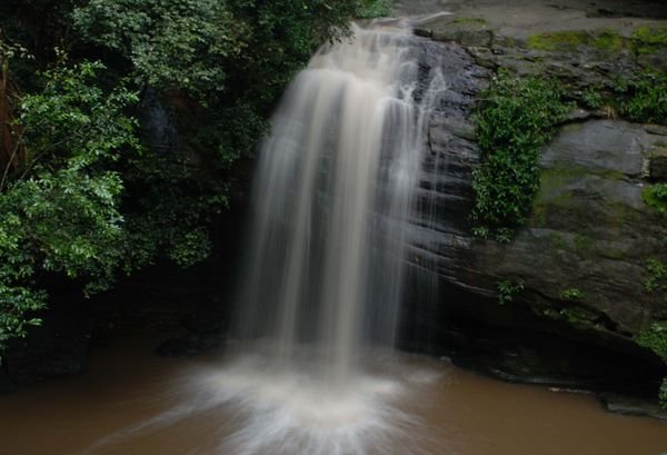 Buderim Falls