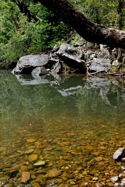 Creek Whitsundays