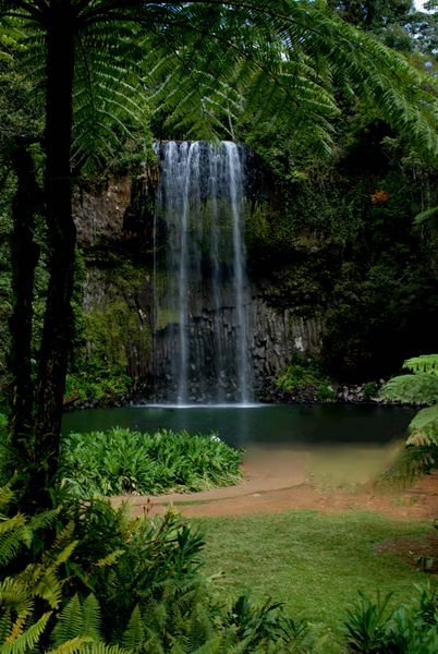 Milla milla falls (Atherton tablelands)