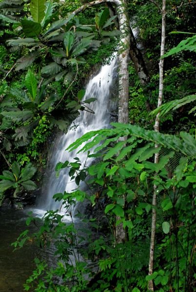 Langkawi waterfall