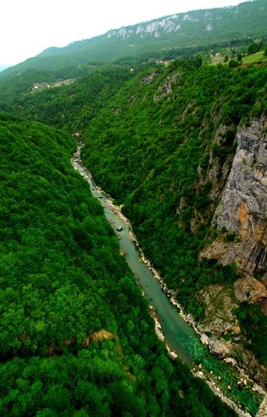 Tara Canyon, Montenegro