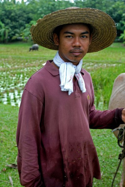 Rice Farmer, Langkawi