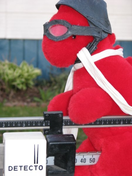 Bucky the Dragon Oversees the Weigh in!