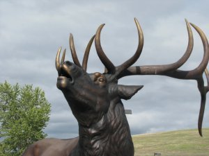 Elk Museum Statue