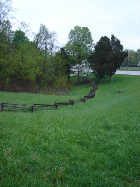 Green green grass of Kentucky