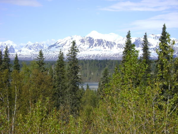 North View of Mt McKinley from the roadside