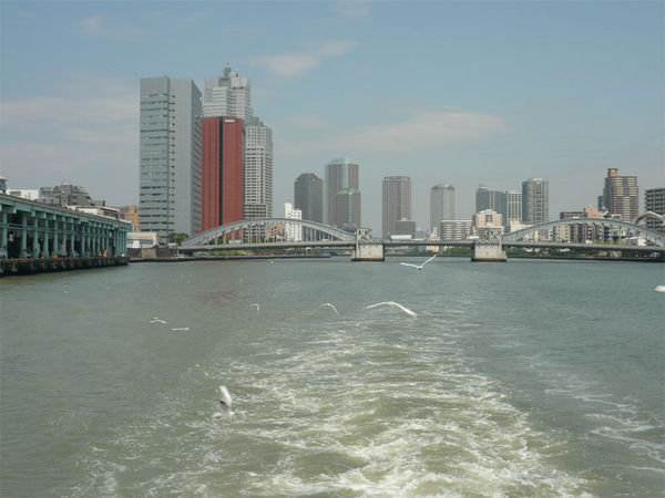 Tokyo Skyline from the Boat