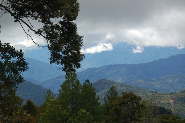 NP Mt.Kinabalu