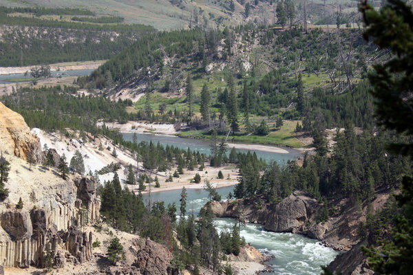 Montana Stream 