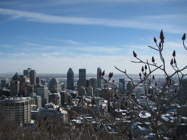 View From Mont Royal