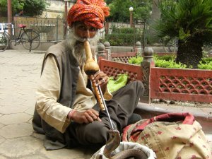 Traditional snake charmer