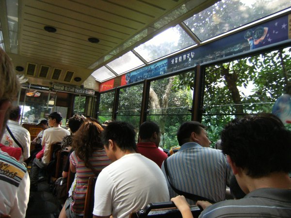 On board the Victoria Peak Tram