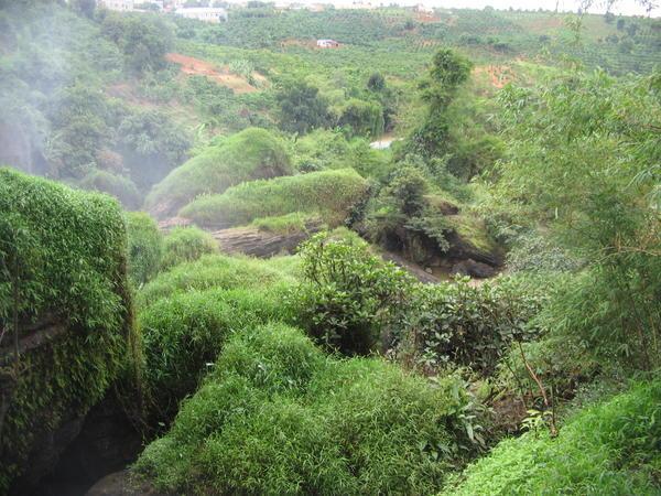 Waterfall Greens