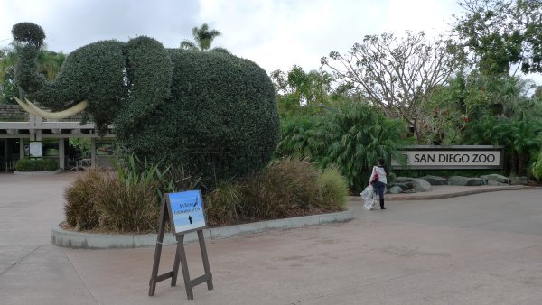 San diego Zoo