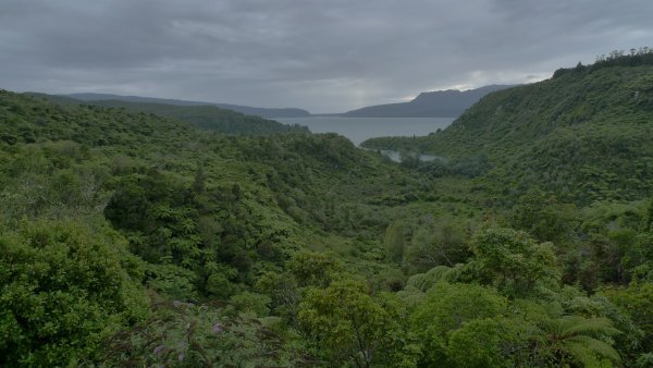 Lake tarawera