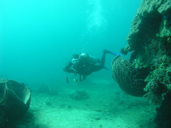 Puerto Galera Dive
