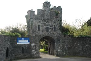 Trim Castle