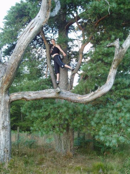 Helen climbing trees