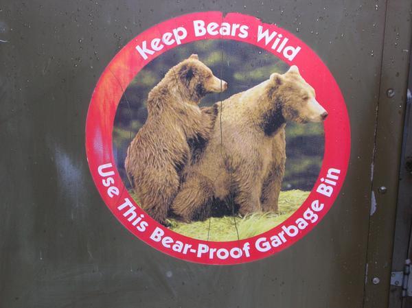 Bears really are a threat