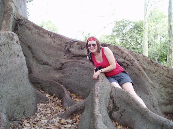 Me in a big tree